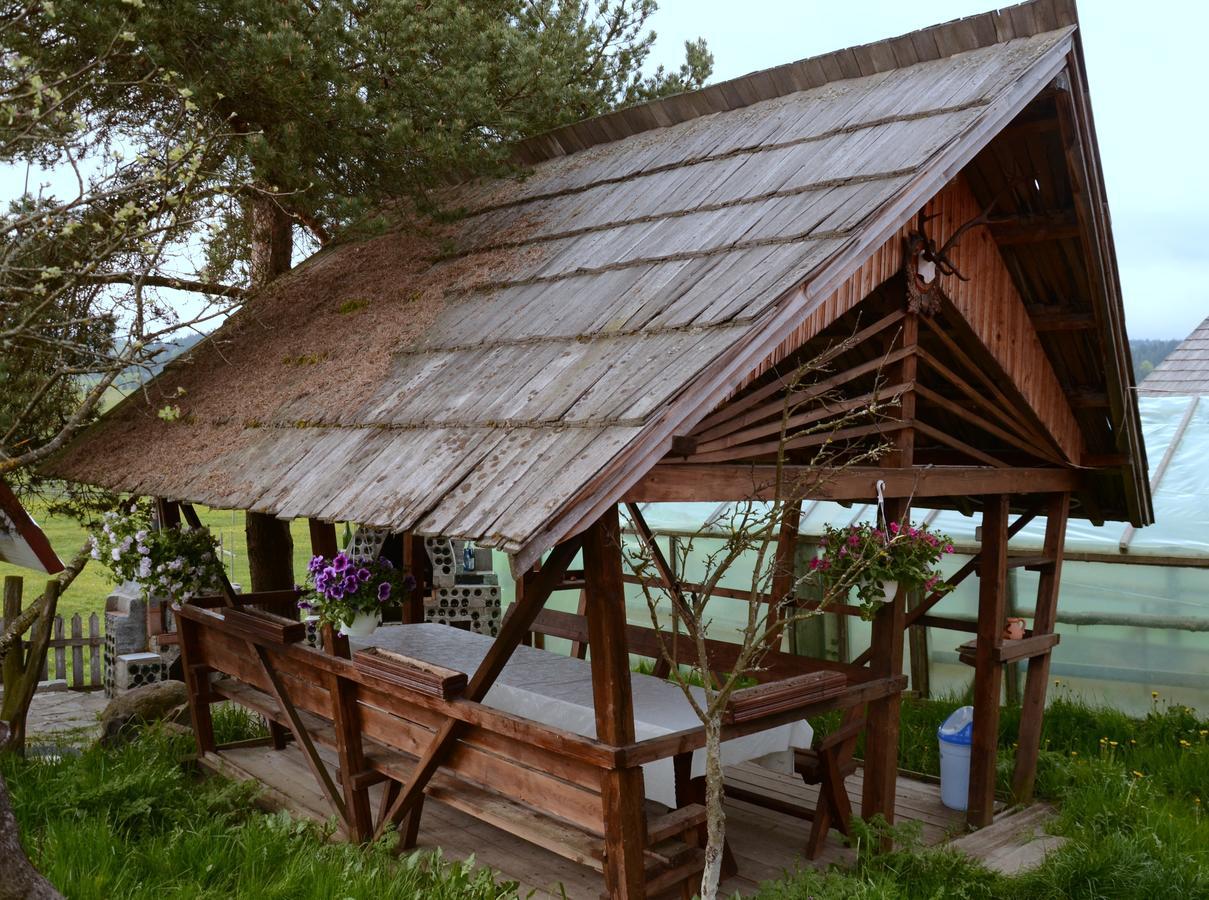 Casa Florea Poiana Stampei 外观 照片