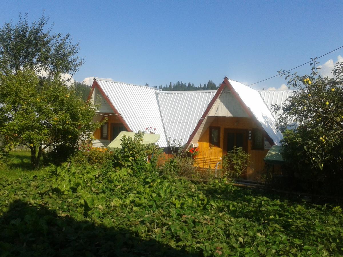Casa Florea Poiana Stampei 外观 照片
