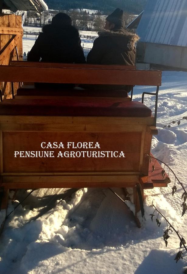 Casa Florea Poiana Stampei 外观 照片