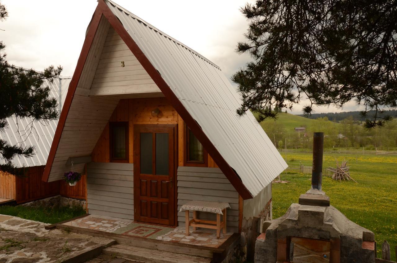Casa Florea Poiana Stampei 外观 照片