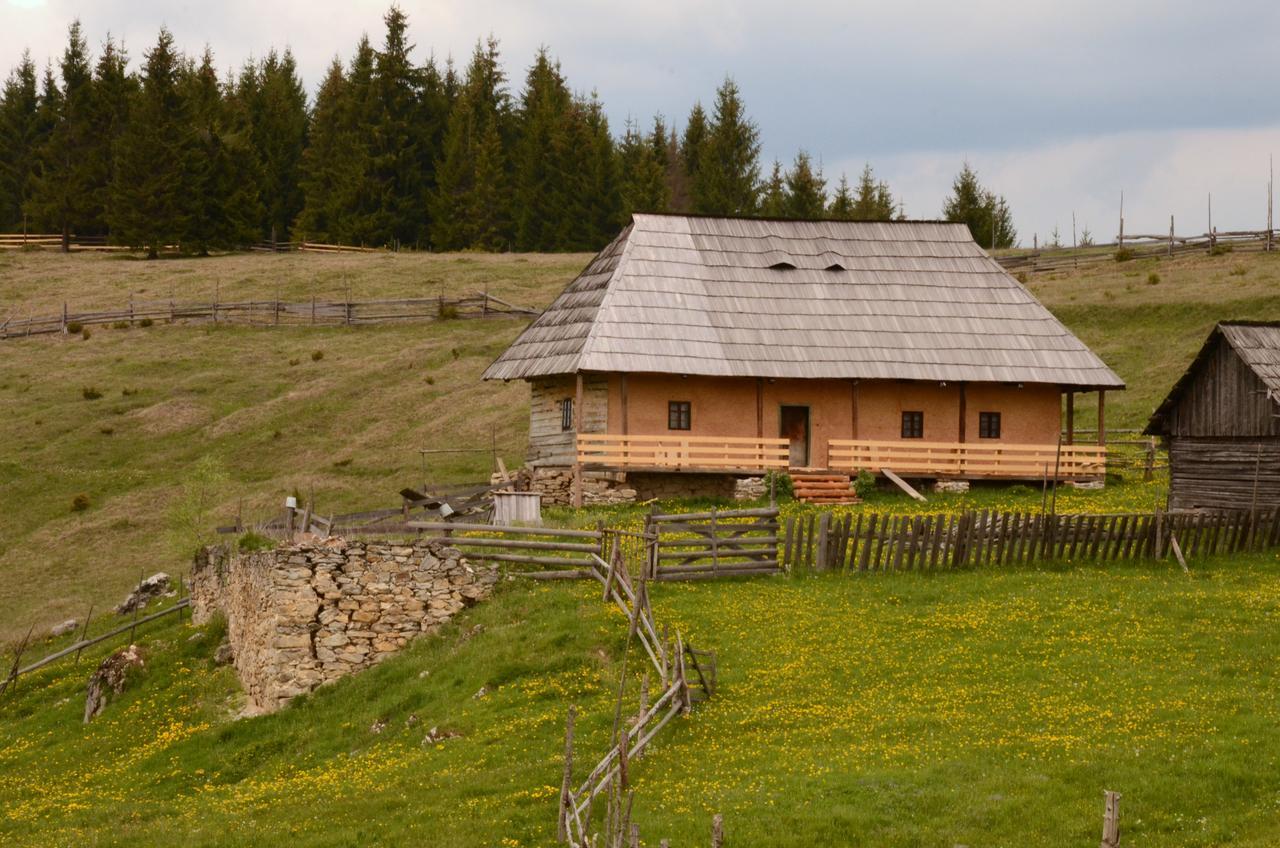 Casa Florea Poiana Stampei 外观 照片