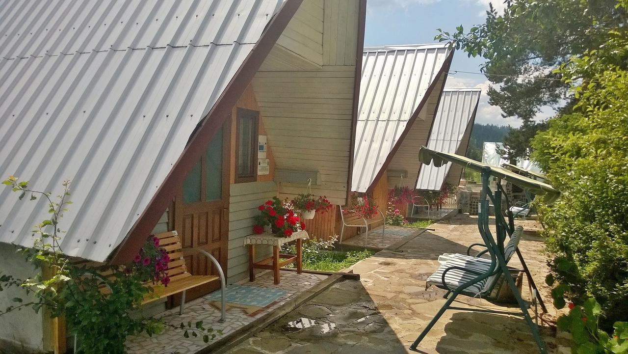 Casa Florea Poiana Stampei 外观 照片
