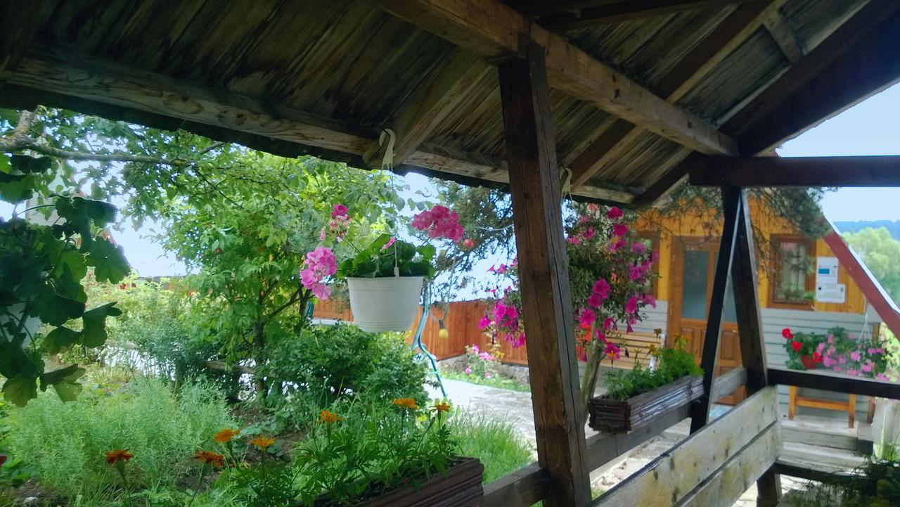 Casa Florea Poiana Stampei 外观 照片