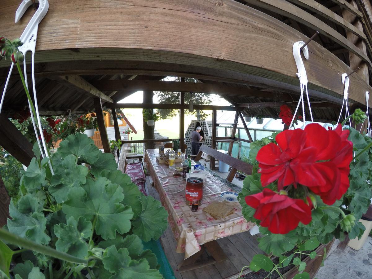 Casa Florea Poiana Stampei 外观 照片